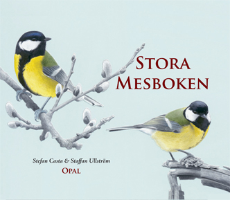 Stora mesboken av Stefan Casta och Saffan Ullström